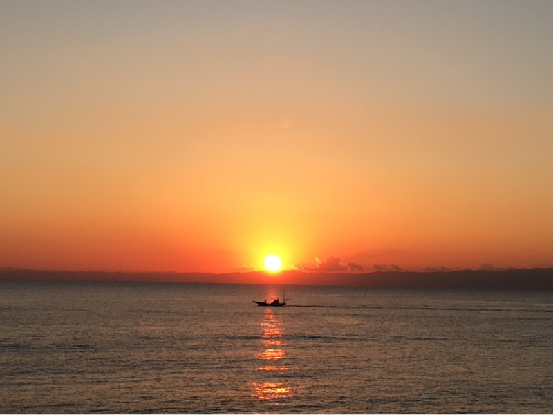 フォルツァこじらせオールスター2025