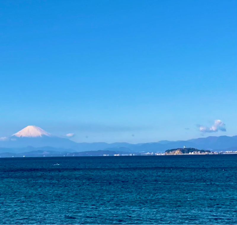 フォルツァこじらせオールスター2026