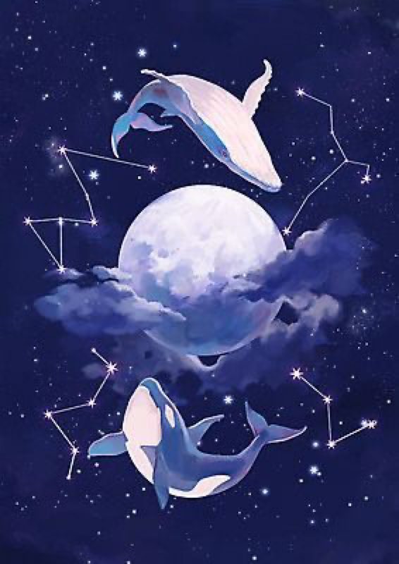 いるかはざんぶらこ from Radiotalk episode artwork