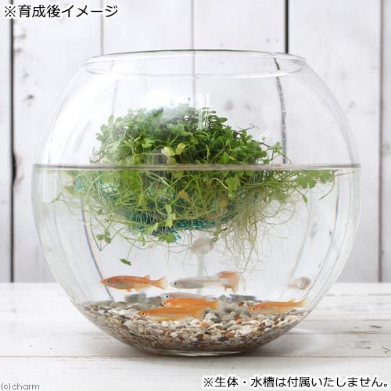 完全休暇日です❤️第三日曜日です。 from Radiotalk episode artwork