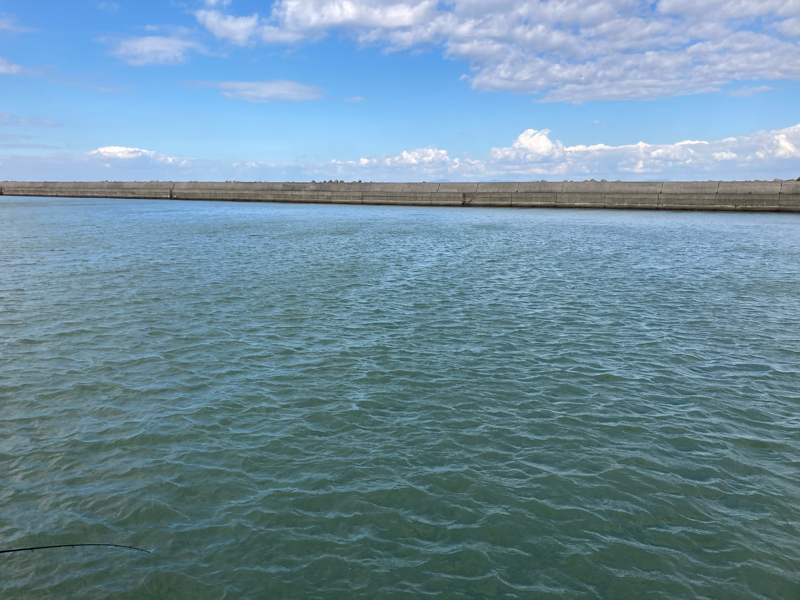 Aマッソ加納の本