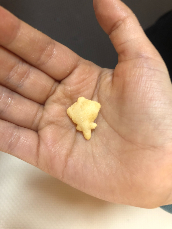 ライブ放送の日時について⭐️