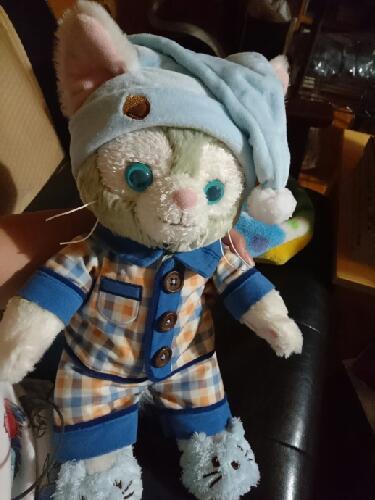 #9 ディズニーに行きたすぎる話②