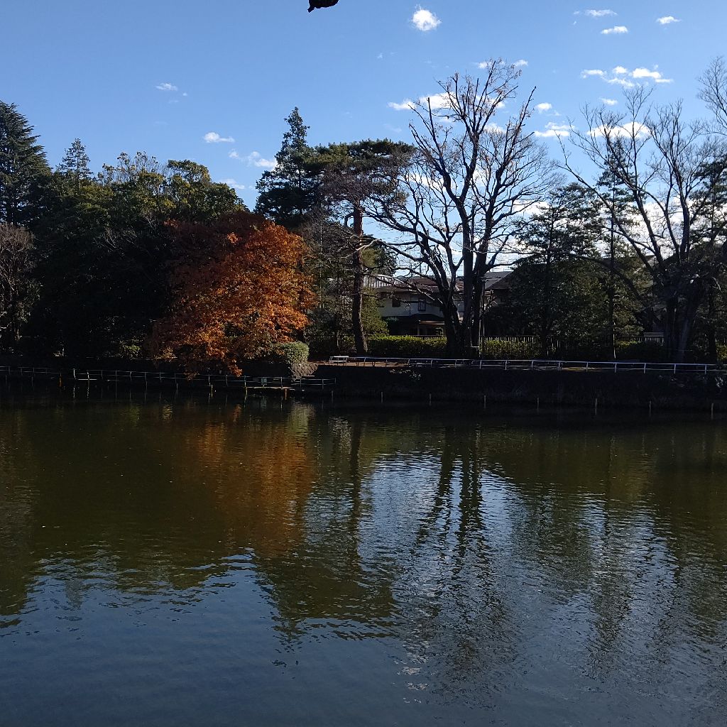 一旦一年を振り返ってみた。