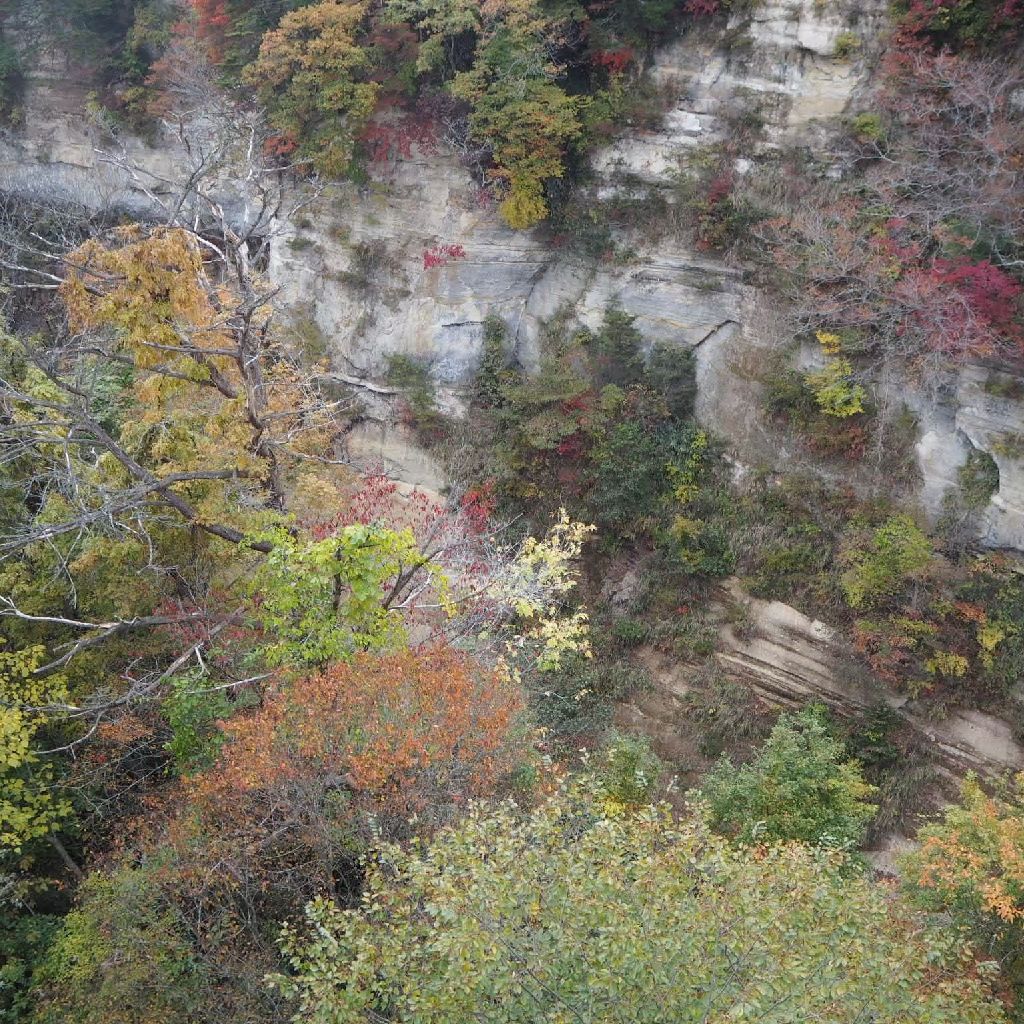 花粉症とのバトル🤧