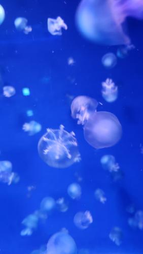 だらだら喋るだけ