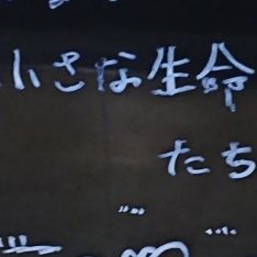 お散歩しながらふうかせつげつお気持ち