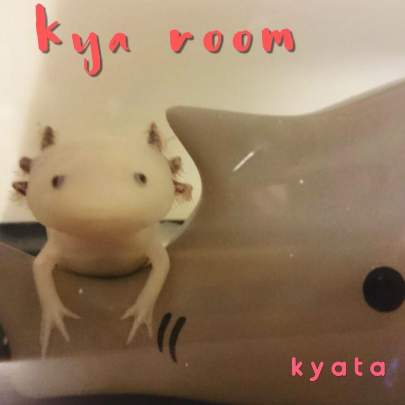 きゃールーム 第64回 音楽観