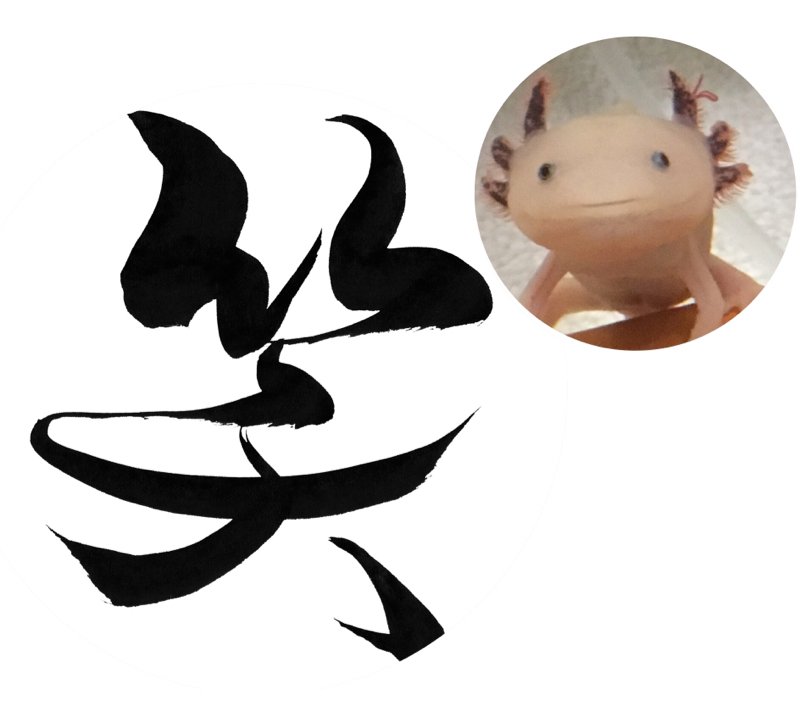 きゃールームが初めてコラボをしました！芸を教えてもらうの巻