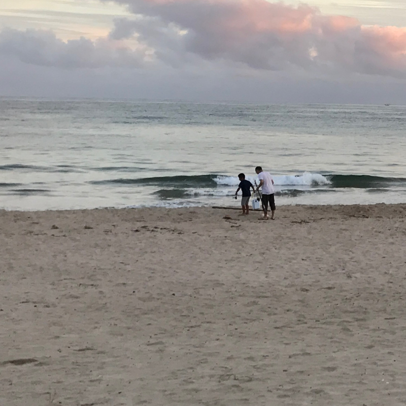 海をみていた
