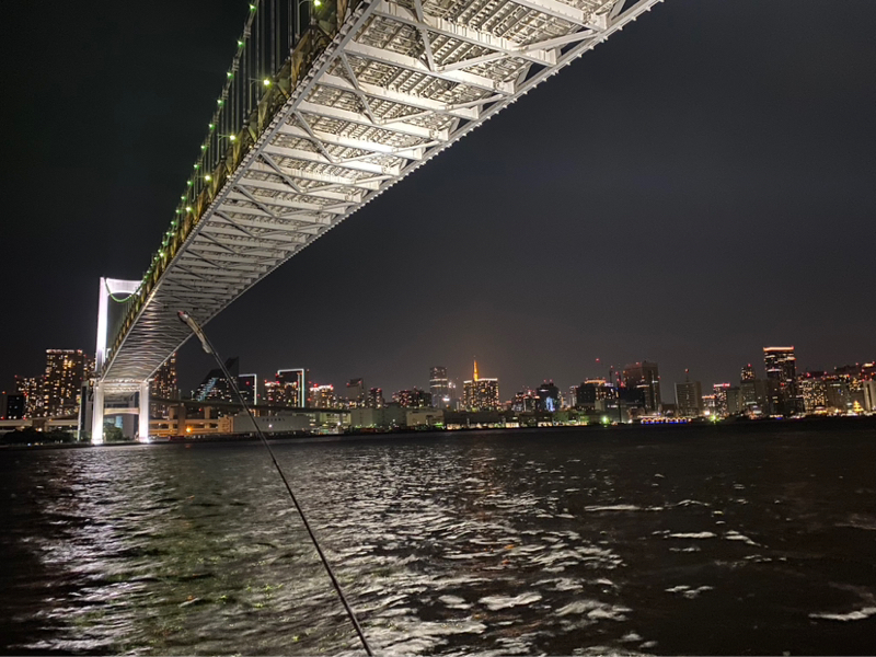 お知らせと告知