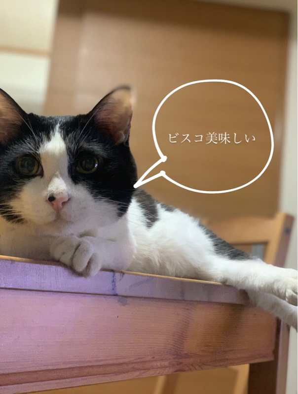 #1  お耳さんぽはじめました👂🏻🌷