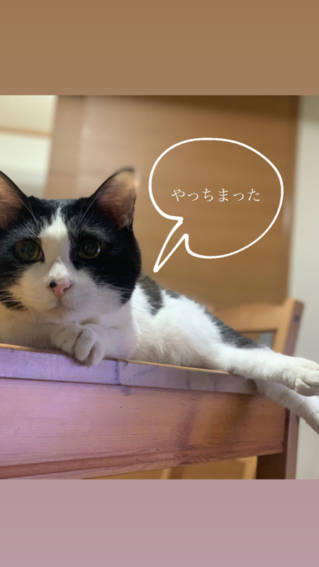 #3  お久しぶりです🌸