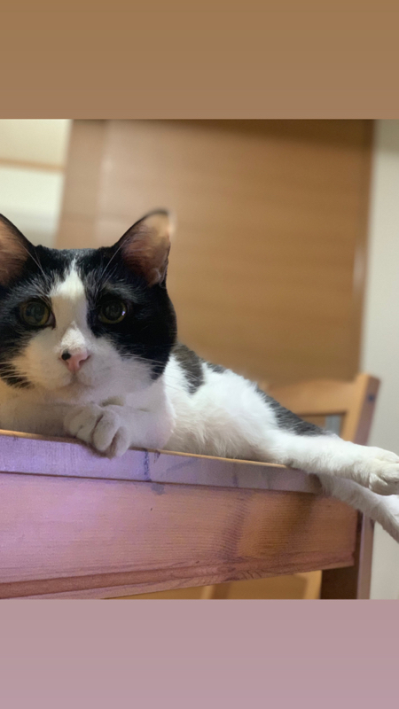 #4 一問一答さんぽ