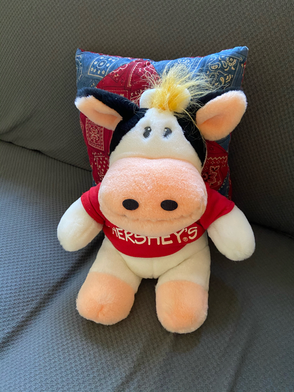 #17 メンマに夢中💕