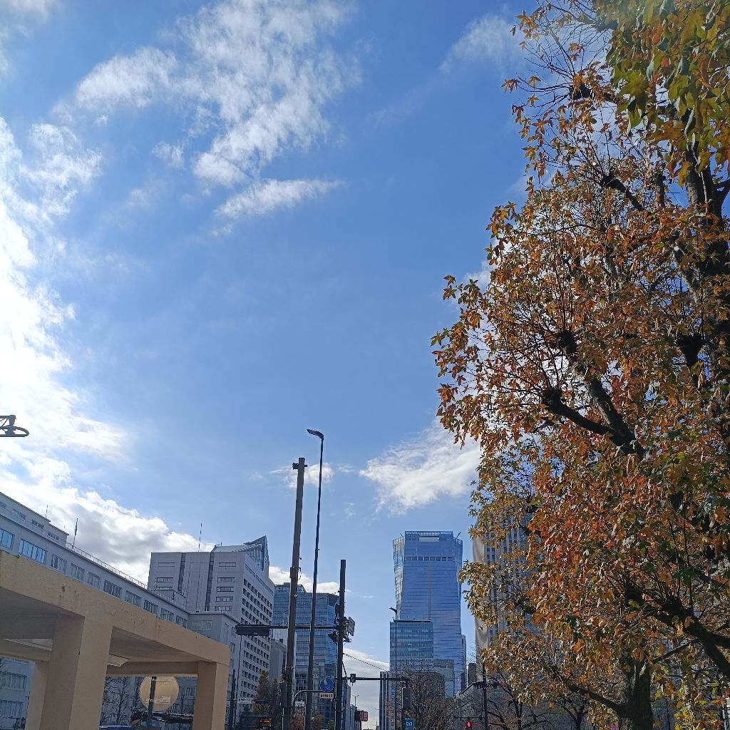 ぶつかりお姉さん