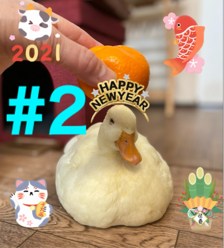 #2 思い出の正月ってある？ from Radiotalk episode artwork