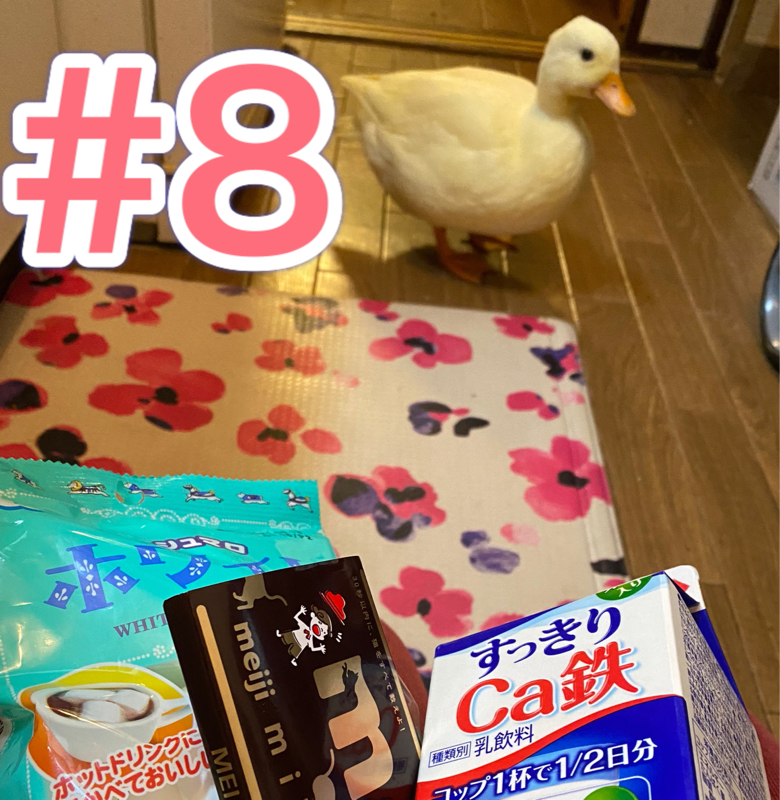 #8 チョコプリン作ったよー‼︎ from Radiotalk episode artwork