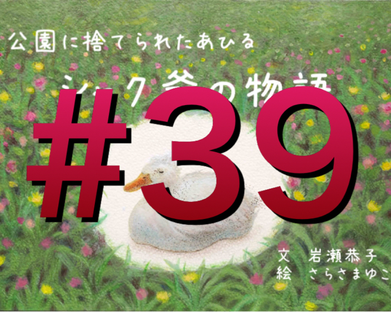 #39  オリジナルミュージカル曲弾き語り(The first take) from Radiotalk episode artwork