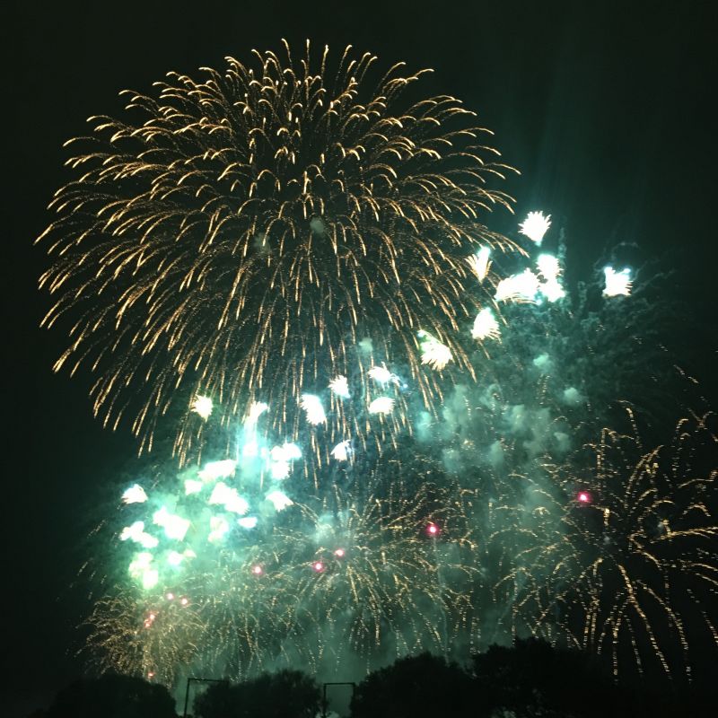 キンプリは好きぷり？