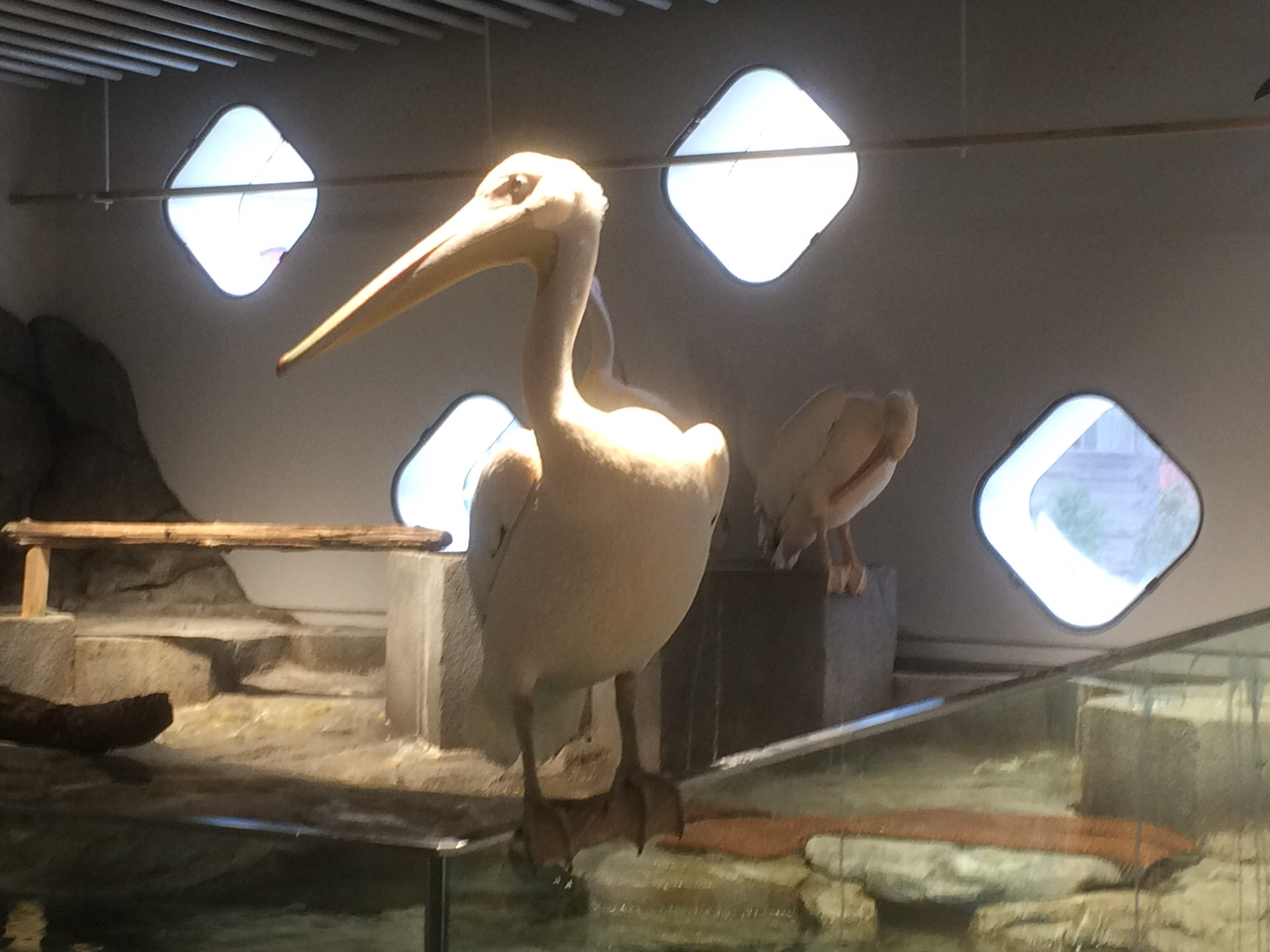 #01 推し万年筆「M200」の話