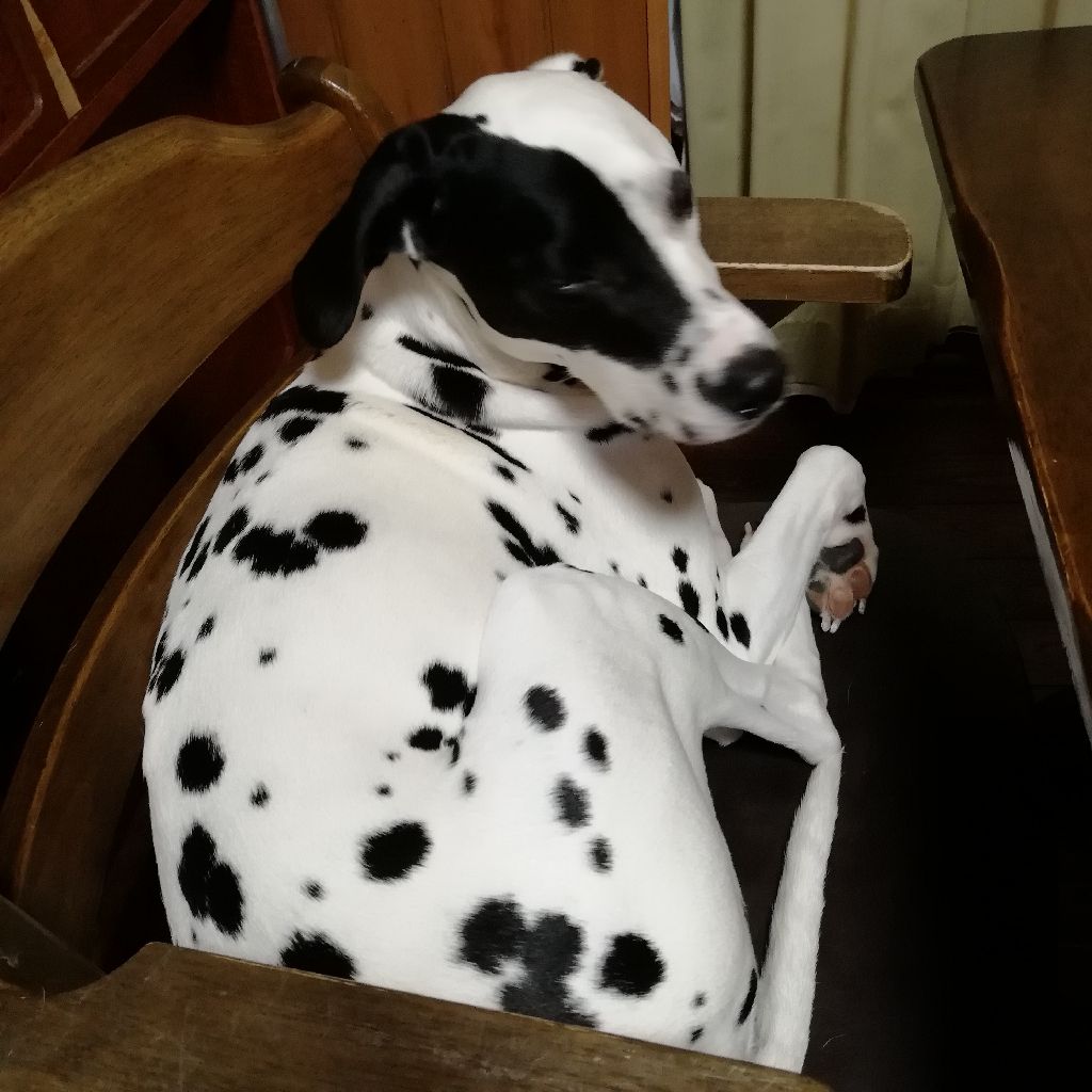 #3音読練習むずかぴーや