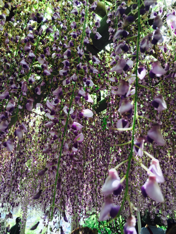 眠気覚ましに"表現"というものを語る ~前半戦~ 1公演目