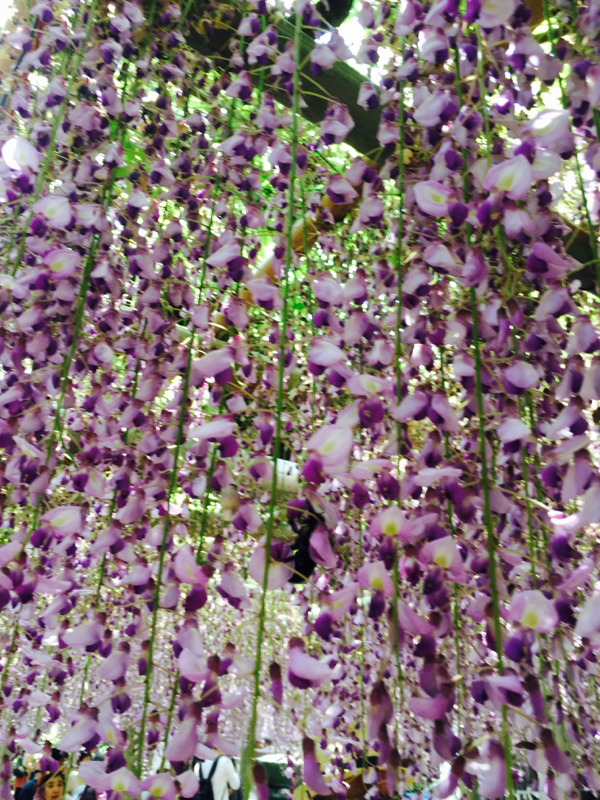 表現を語る~後半戦~  1公演目