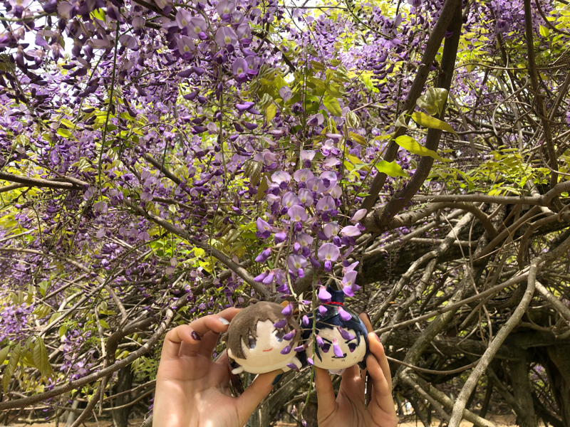 にほへが平成最後に何食べるか語ってみた