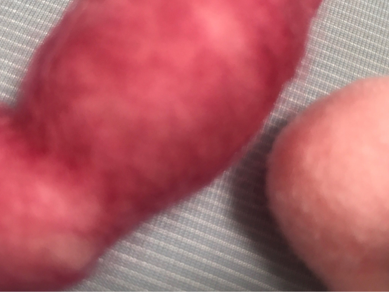 番外編 かーびぃのはなし 中編