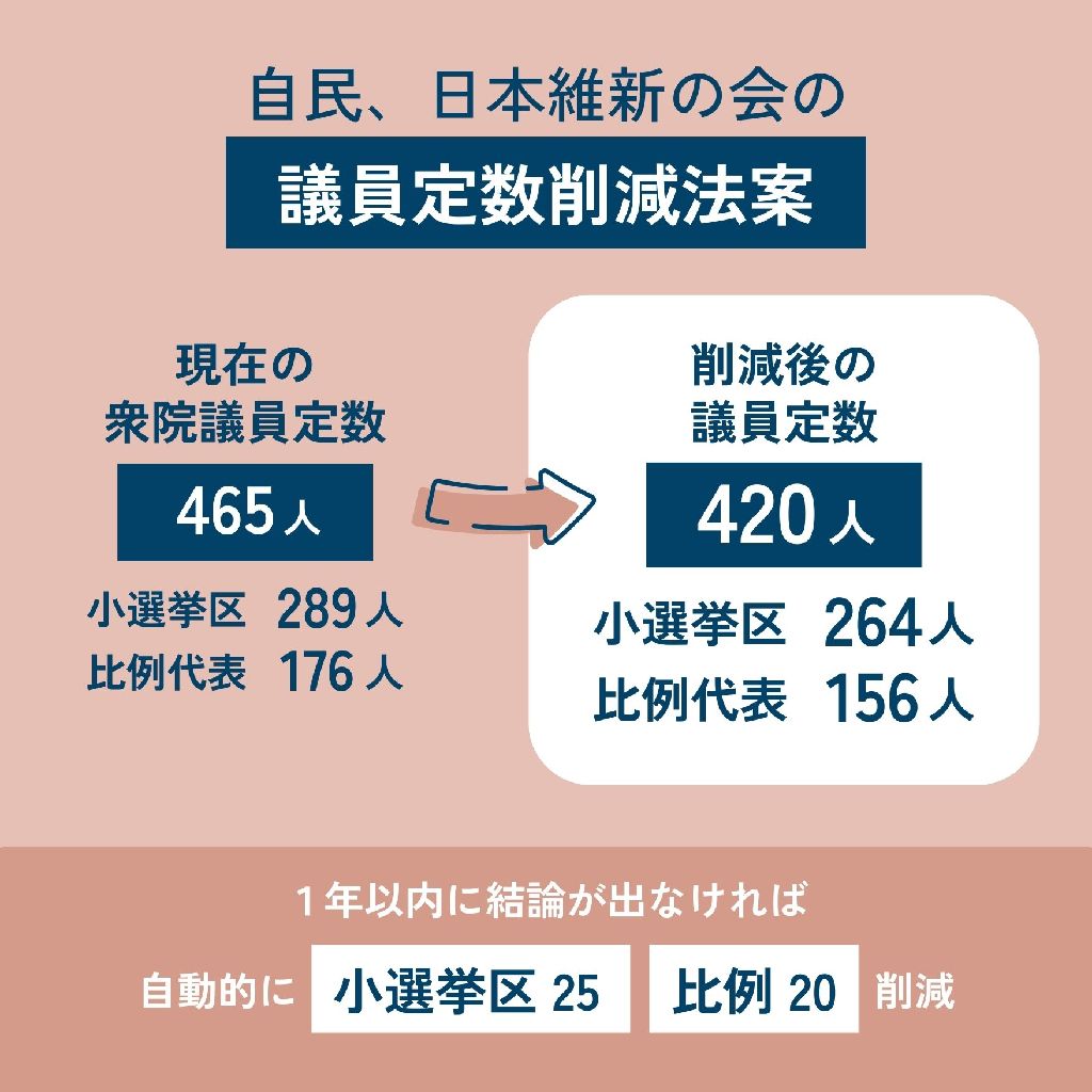 国会議員を減らす意図とは？