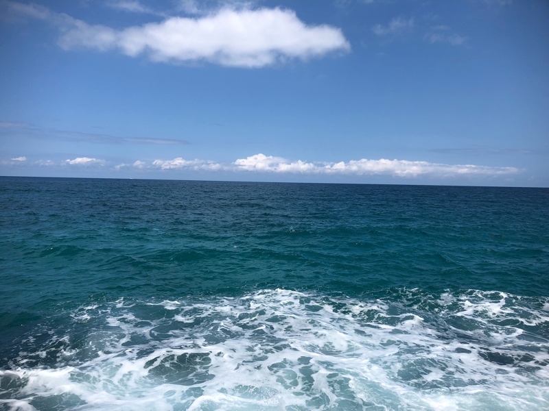 IoWご愛読ありがとうございます！(制作秘話つぶやき)