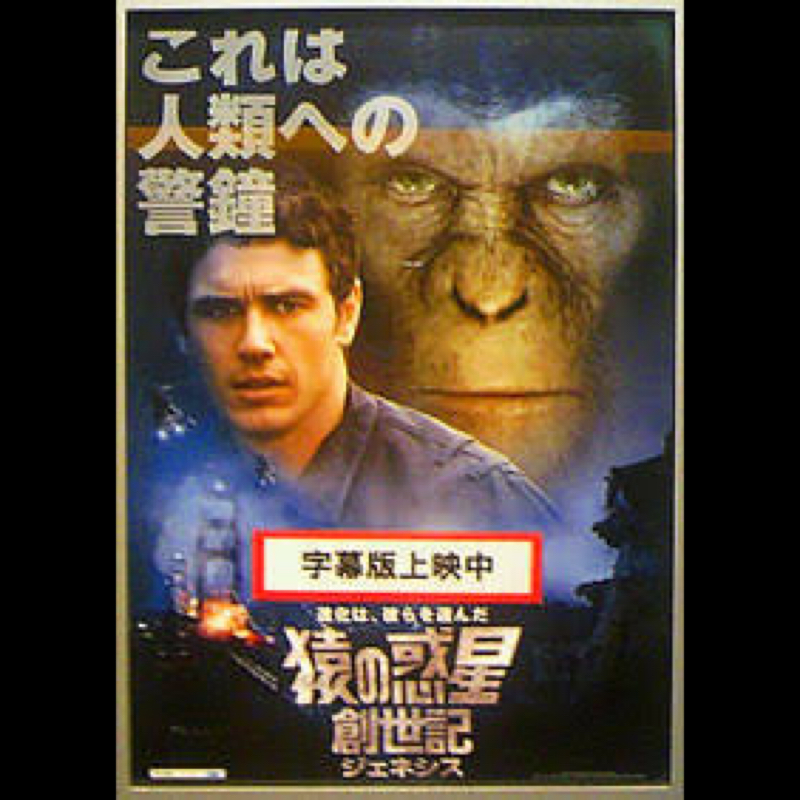 ♋️215：リアル猿の惑星？／ 原油風呂と高須先生とオプシーボ／選挙大変だと思いつつ本音(愚痴)等