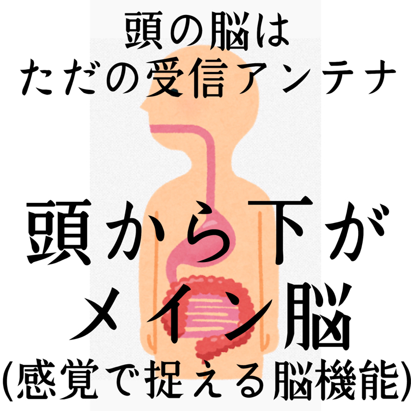 ♋️220：自閉症スペクトラムは消化器官が弱い