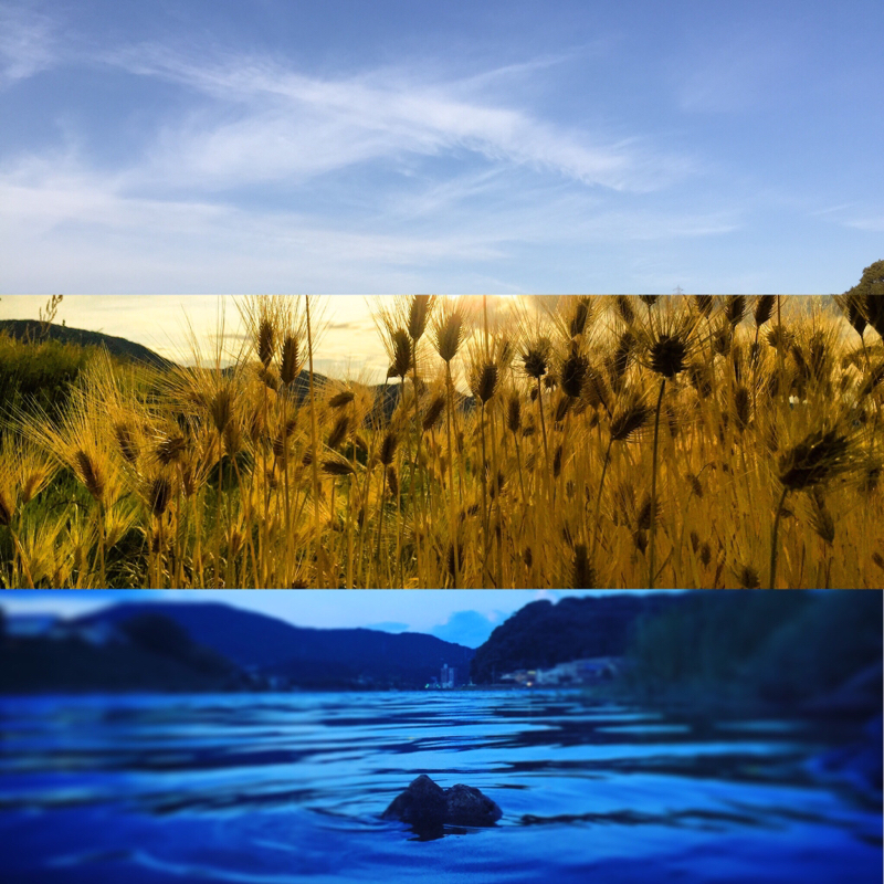 ♋️229：メデューサは大地の女神だった／不老不死のヒントは淡水産無脊椎動物ヒドラ／前代未聞の蟹