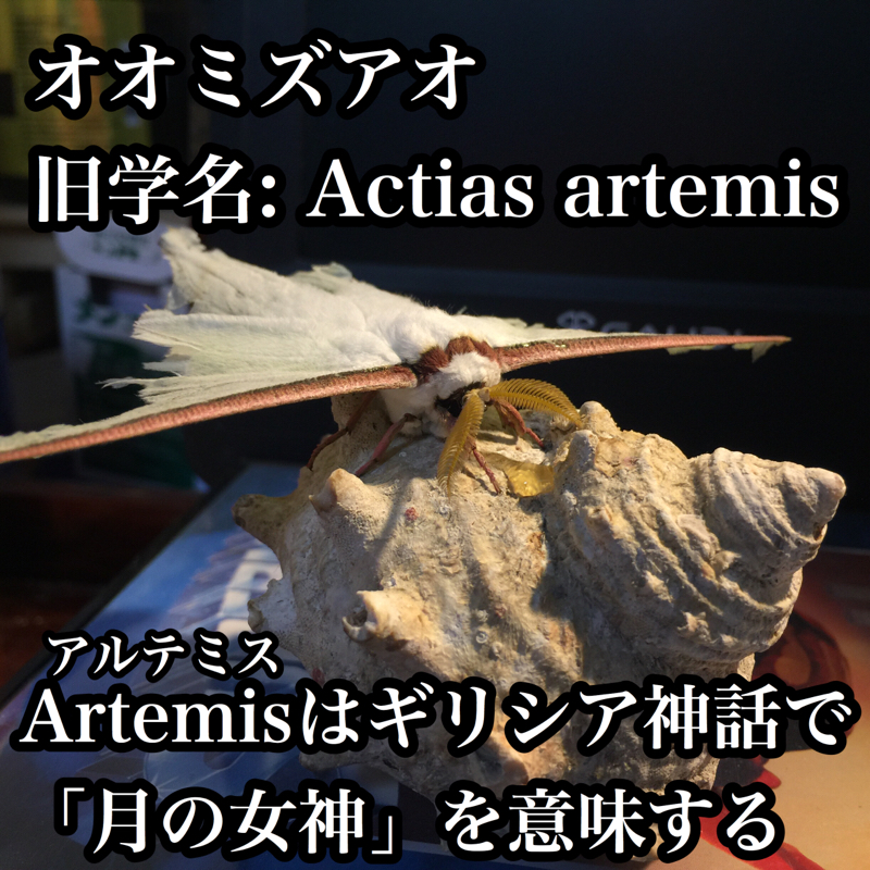 ♋️256：悲しいかなでも結果オーライな雑な話／河本さんのSDGs／適当に水道民営化を話す