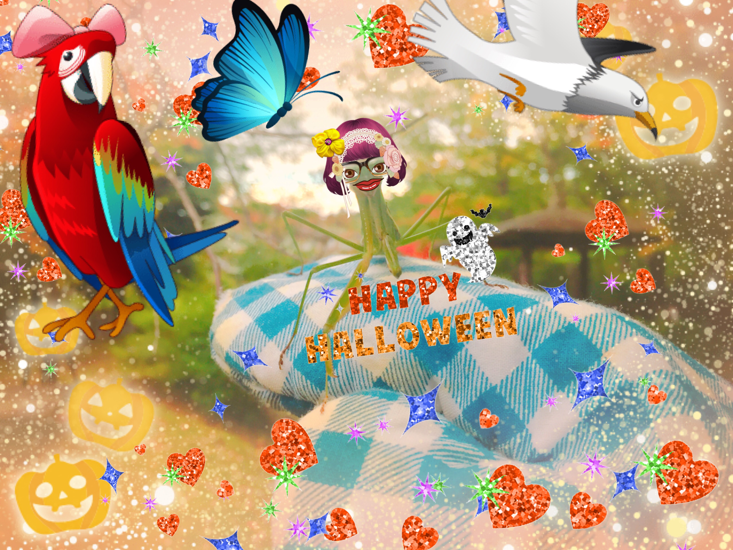 12)今日の流れ(9/25)