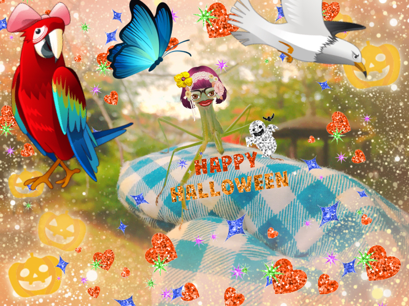 23)今日の流れ(10/6-10/7のA.M5:37まで)