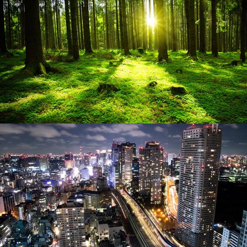 ♋️136：融合の時代(アナログとデジタルの融合と本質的繋がりの生命感覚が人をマトモにする)