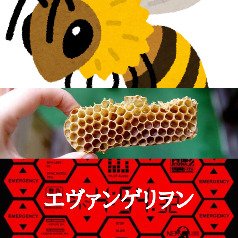 ♋️154：ミツバチは「数」を理解できる／蜂と六角形と科学進歩