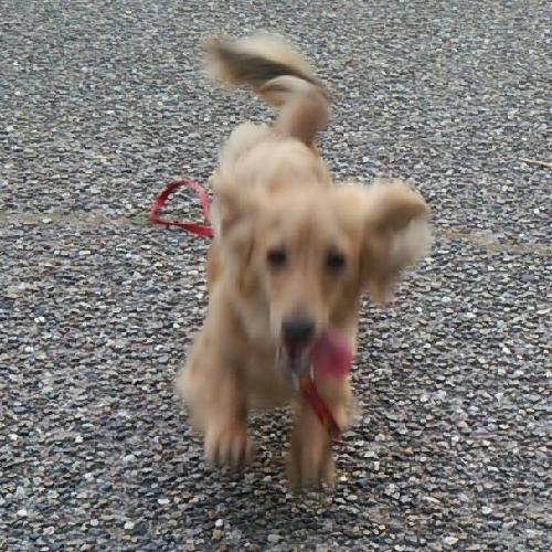 にほへしのことを話します#5