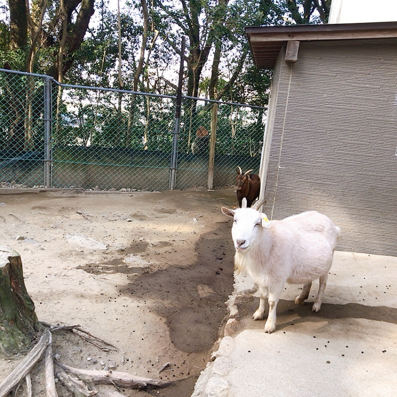 #7 こんな素敵な時代に生まれてよかったな