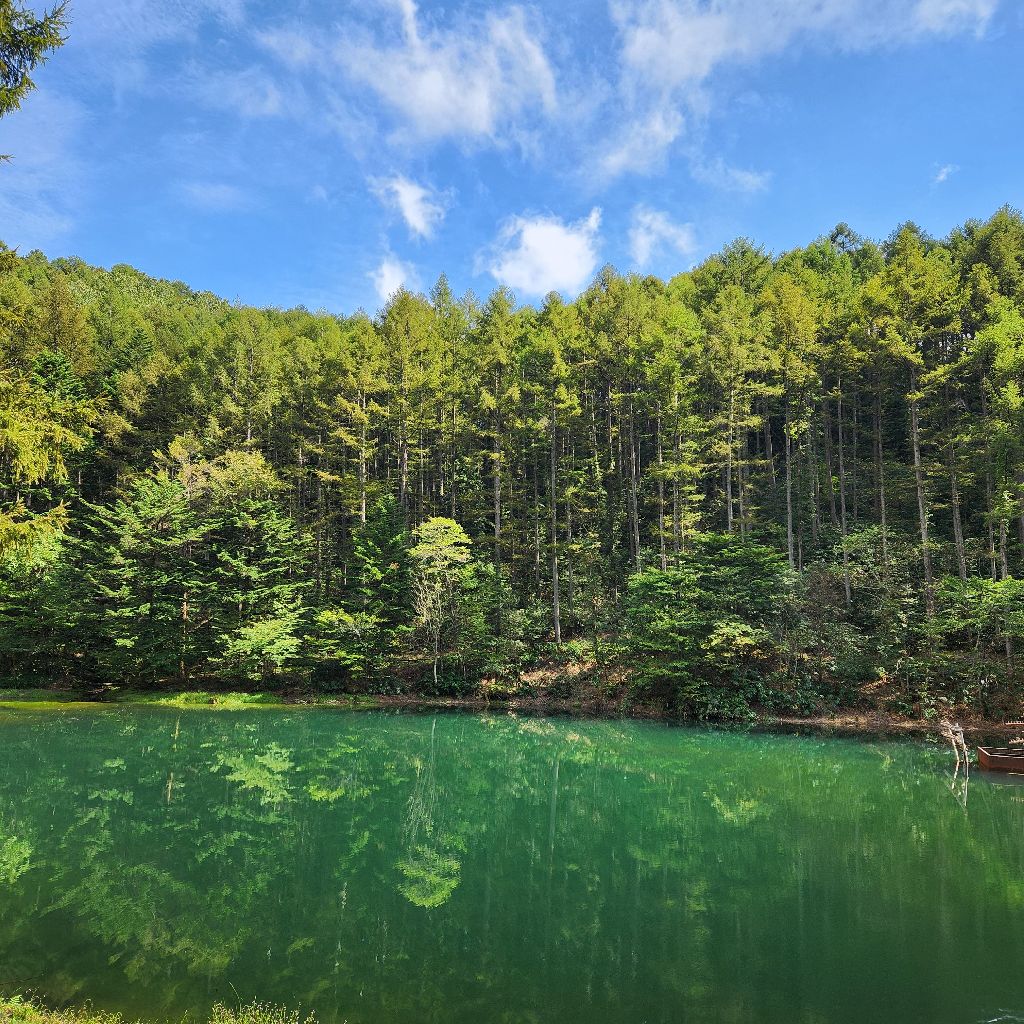 30/100長野県阿智村①行ってきたよ