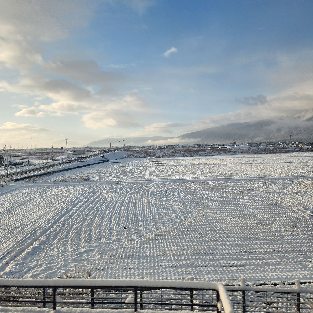 90/100 娘と京都　弾丸日帰り旅①