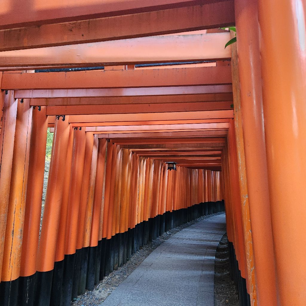 91/100 京都弾丸日帰り　その2