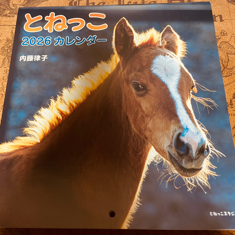 2026年1月23日の感想