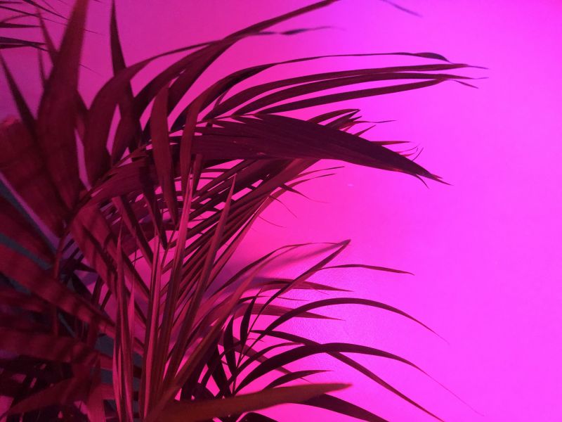 課題をやらなかった懺悔とオタク的な雑談