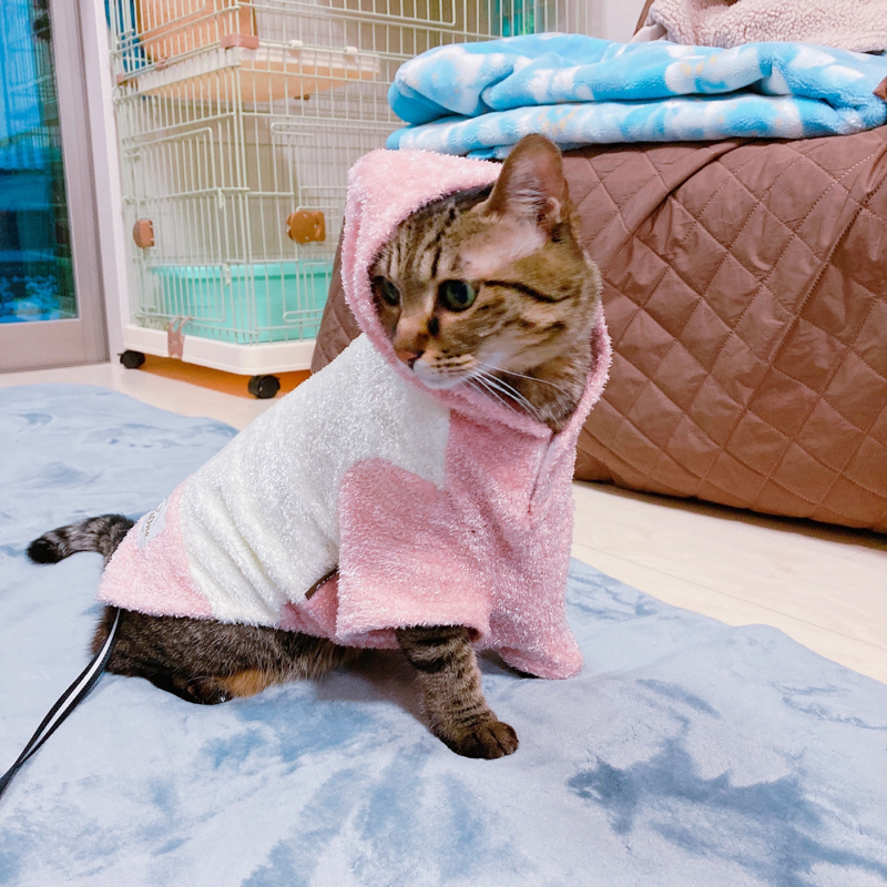 また早口に戻ってない？？？しかも噛んでる((