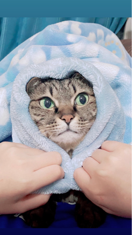 日記？
