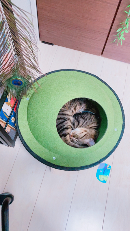 >>突然の終わり<<